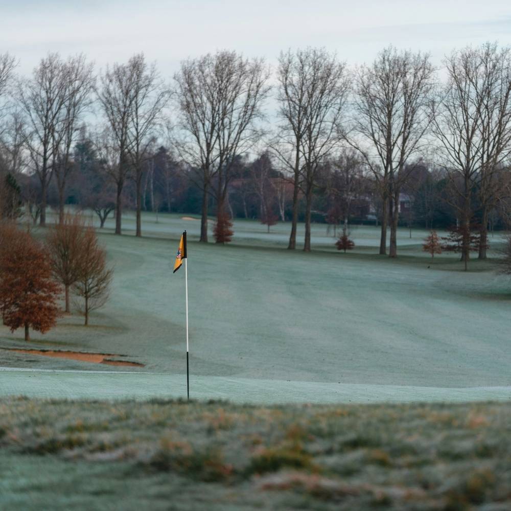 winter golf tees